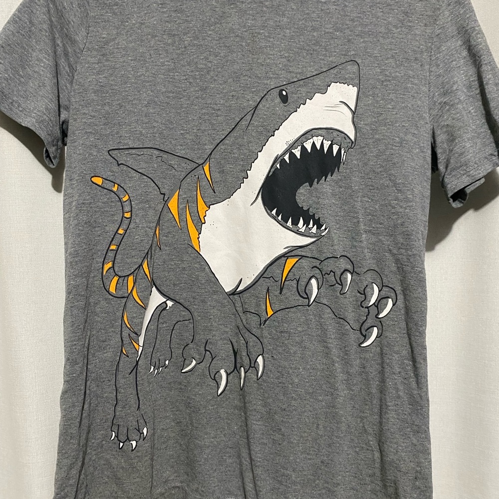 Boys graphic t shirt.